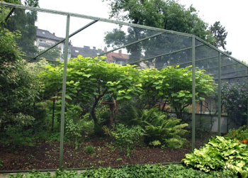 Volière voor heuvelpatrijzen (Arborophila)