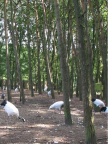 Cracid Breeding and Conservation Center