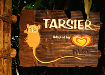Mandai Night Safari