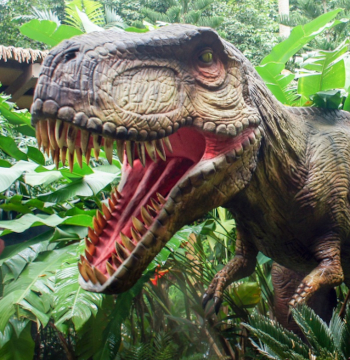 Mandai Singapore Zoo