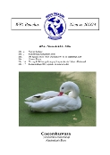 WPA-Benelux Nieuwsbrief 2016-4