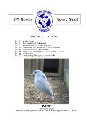 WPA-Benelux Nieuwsbrief 2018-4
